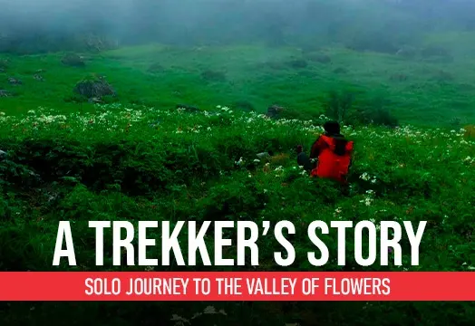 Solo Journey to the Valley of Flowers – A Trekker’s Story